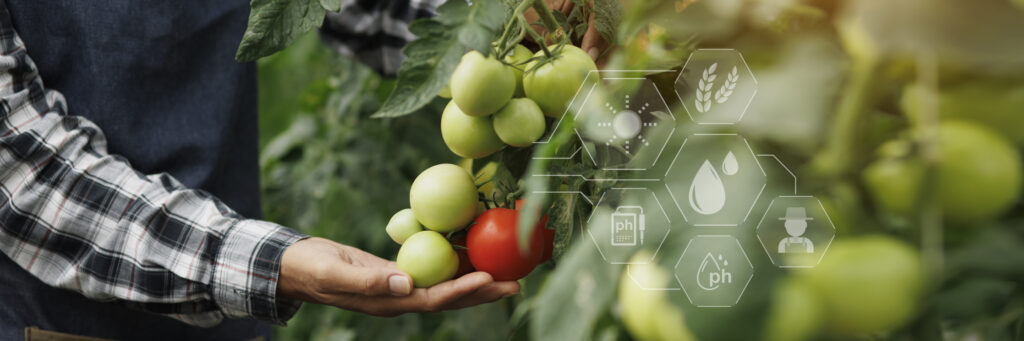 North America-based RaboResearch Team Expanding