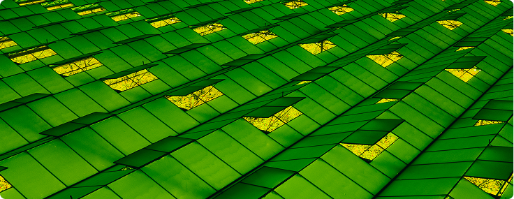 Specializing on a Global Scale