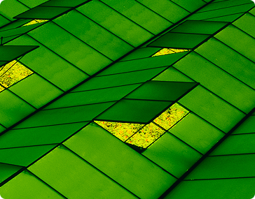 Specializing on a Global Scale