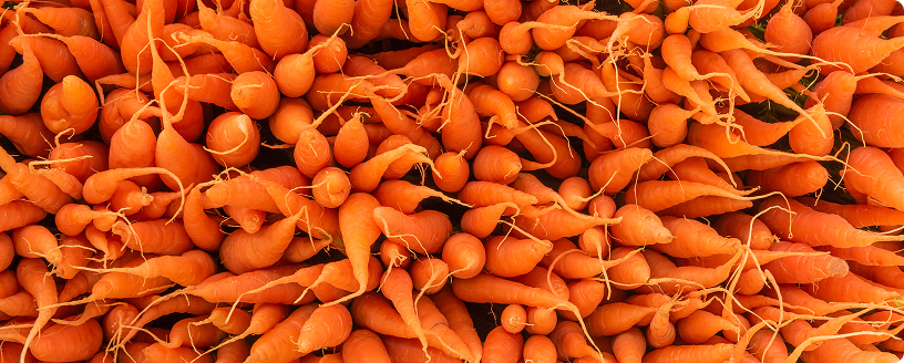 agricultural
financing