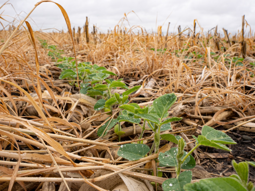 US Farmers Confront Risks in Face of Change