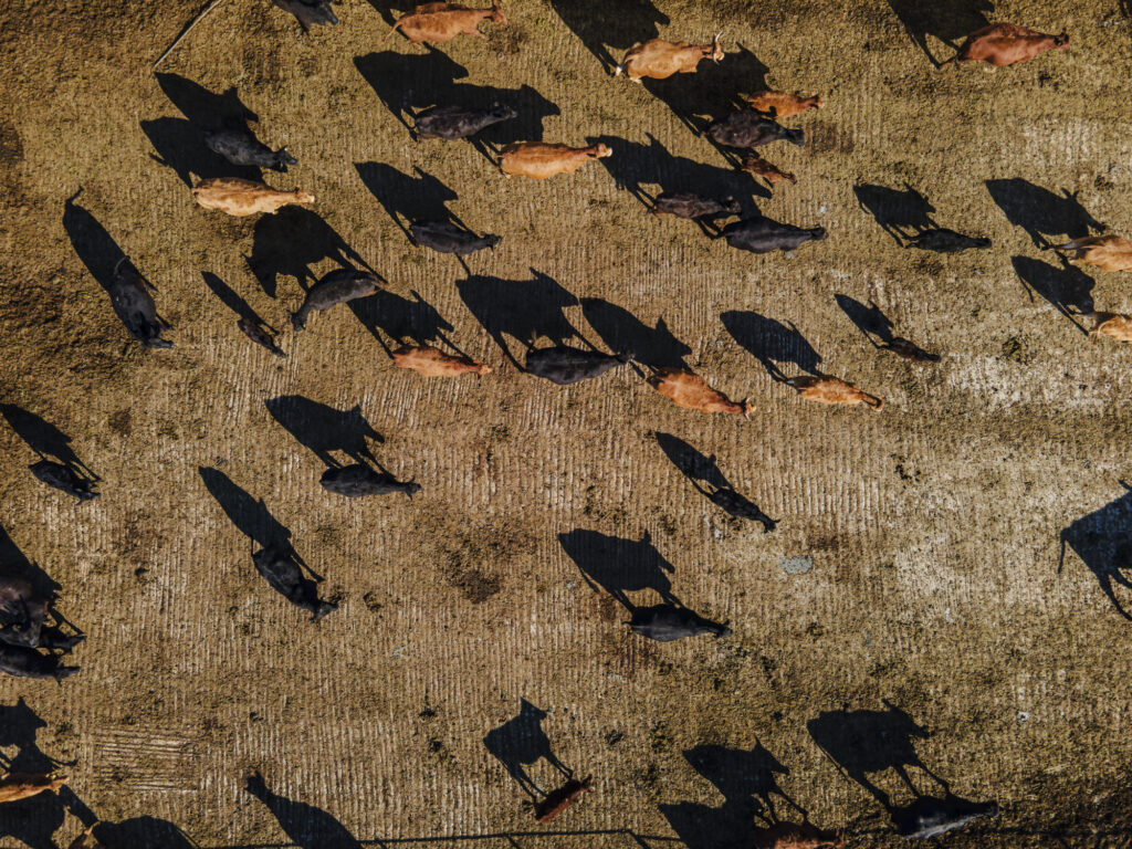 Argentina Tariff Tangle