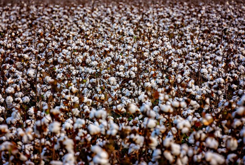 area risk
protection