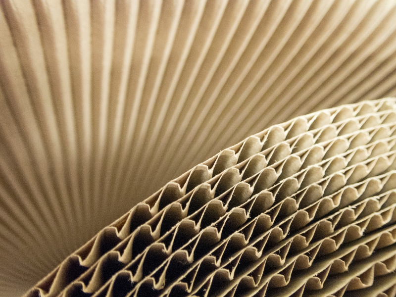 Packaging’s Next Chapter